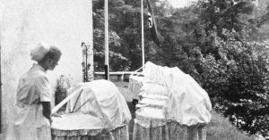 Lecture théâtralisée - débat : Les Petits Chevaux, une histoire d'enfants de Lebensborn-rimg-w960-h504-gmir[1].jpg